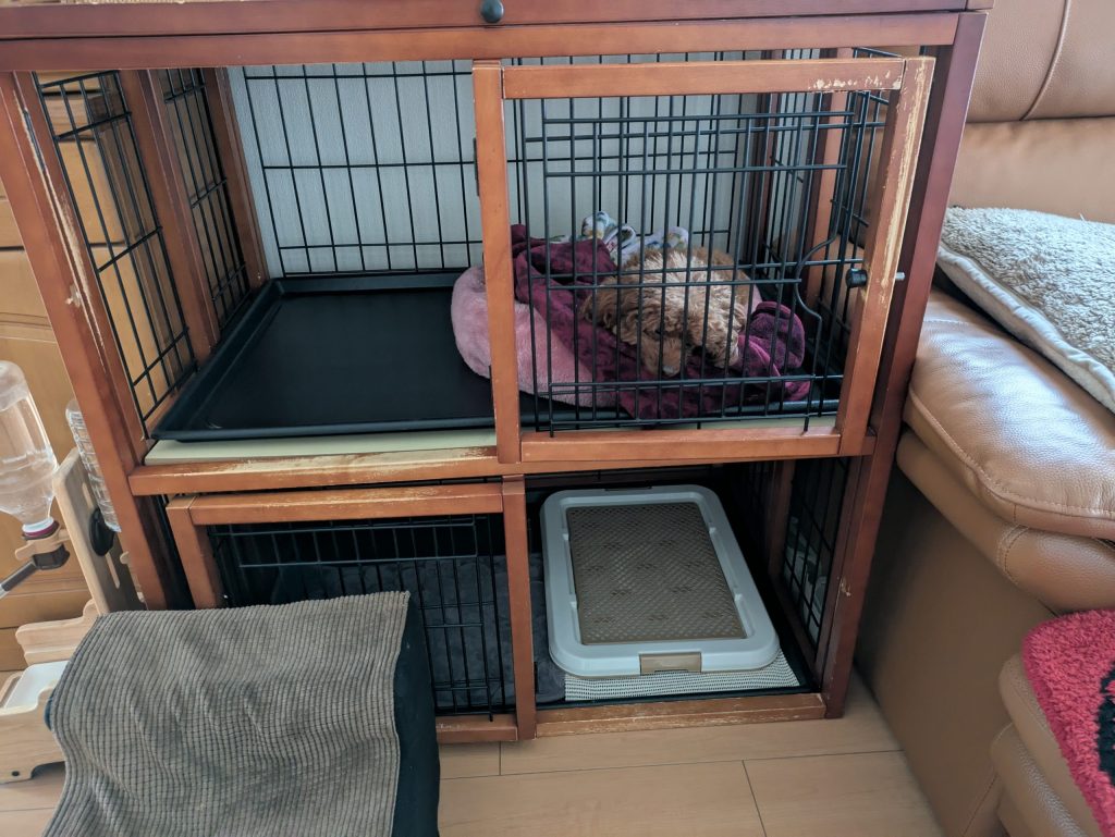 まつ家の2階建てゲージ