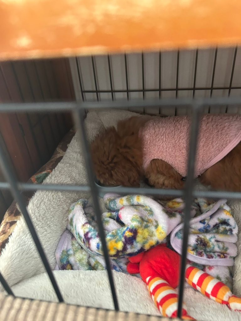 Andyが疲れて寝てる様子