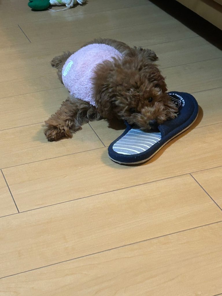 いたずらしているAndy