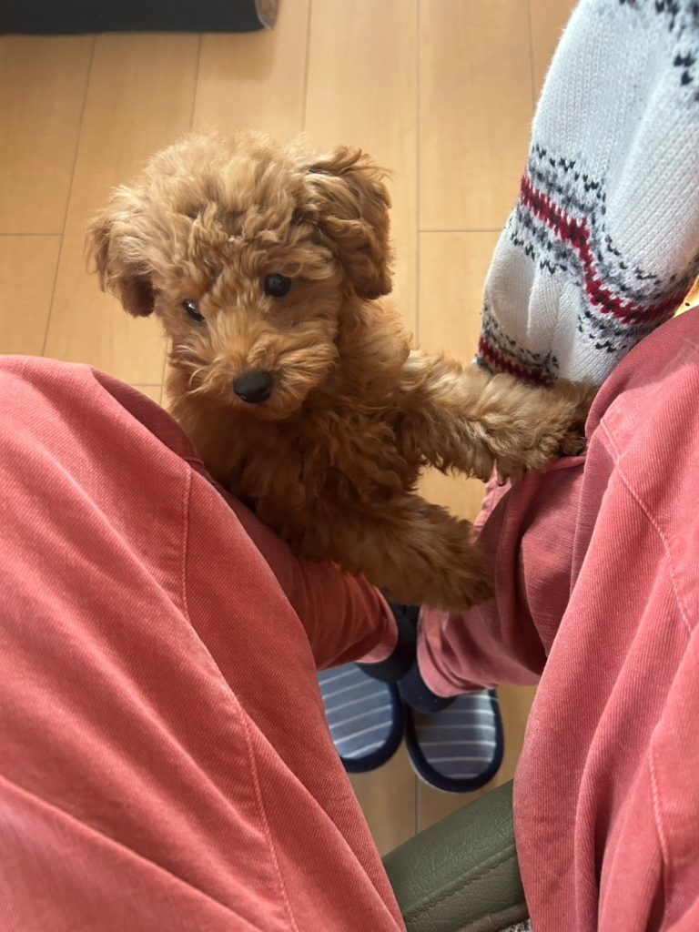 Andyが甘えている様子