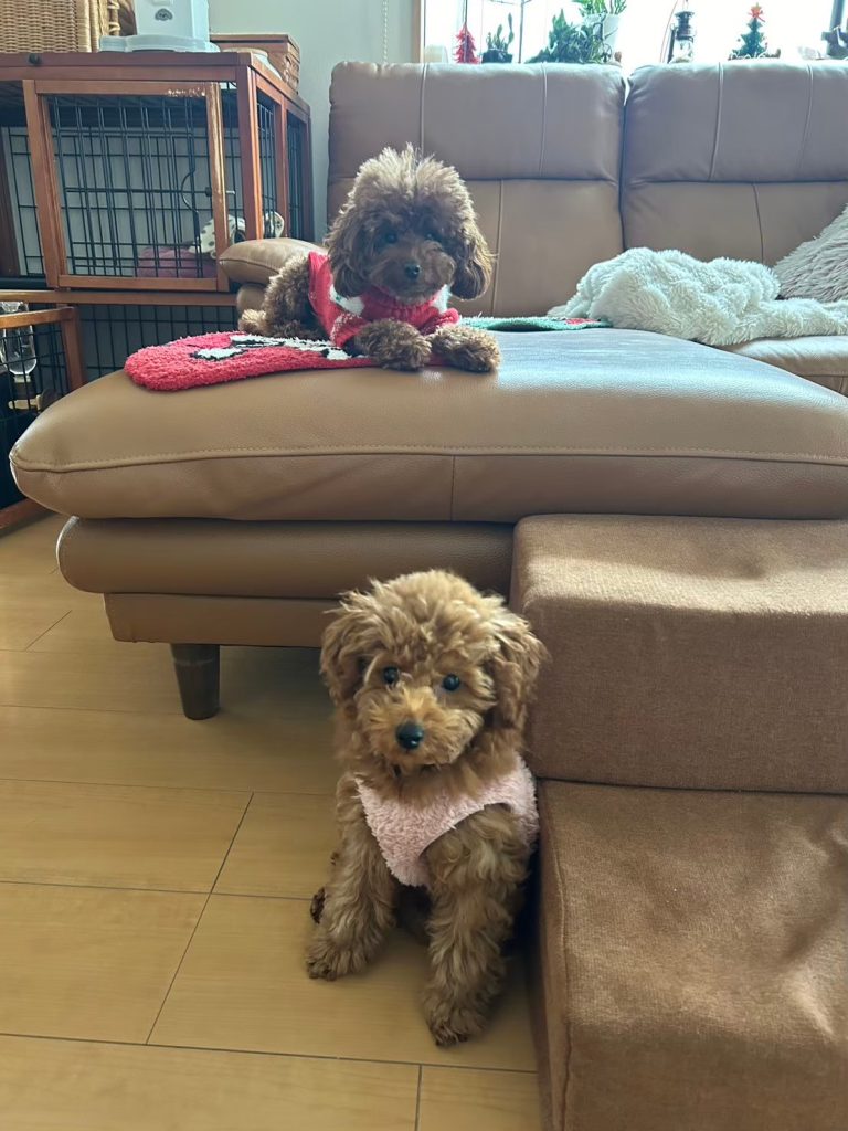 アモとツーショット