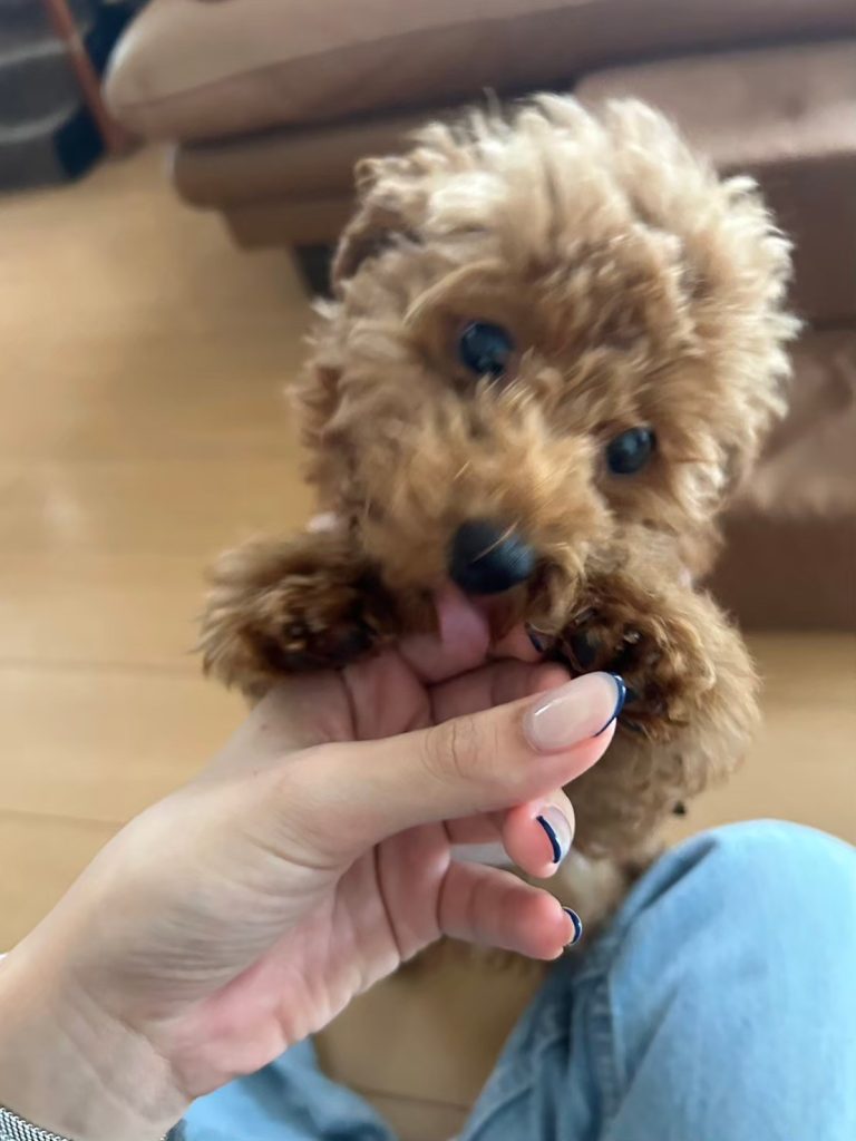 甘えているアンディ