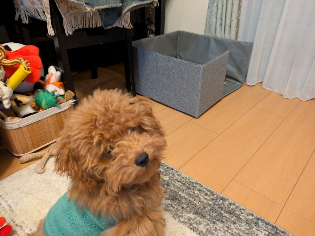 新しいトイレと一緒に撮影したアンディ