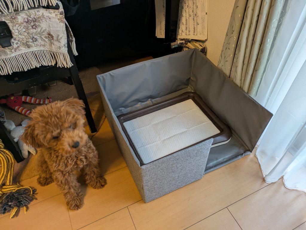 アンディとトイレのツーショット