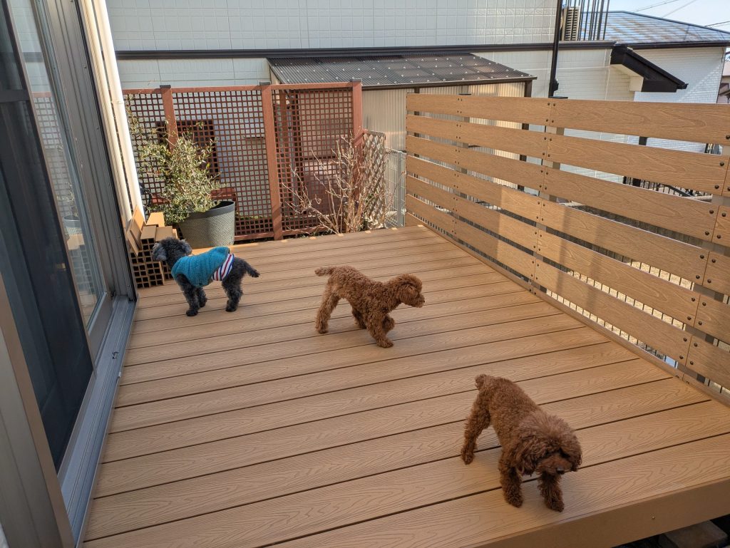 ウッドデッキに乗るまつ家の3匹のわんこたち