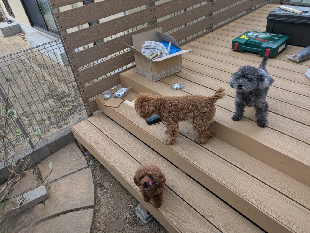 新しくできたウッドデッキの階段と一緒に写るノア、アモ、アンディ