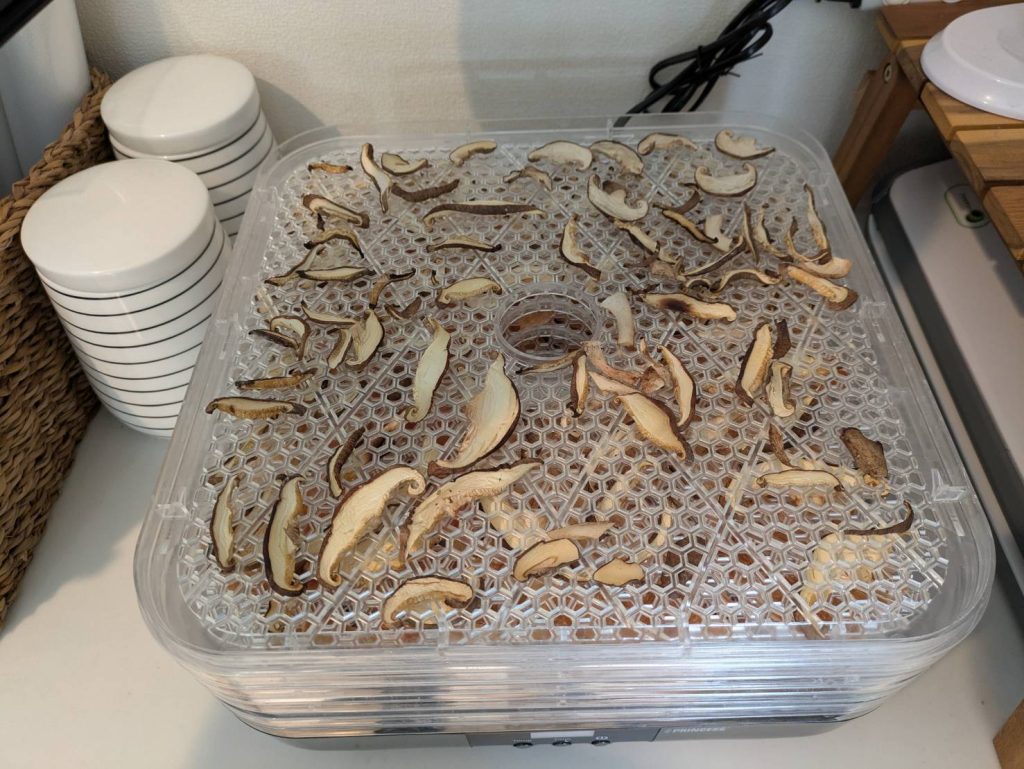 フードドライヤーで作った干し椎茸